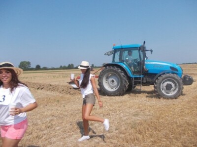 Oranje u Magadenovcu