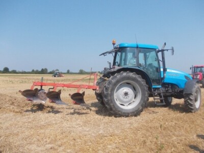 Oranje u Magadenovcu