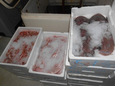 Riba je spremna, jeste li vi?