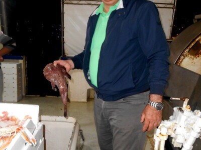 Dinko Cvjetović- Veseli karakter i iskren osmijeh njegov su zaštitni znak