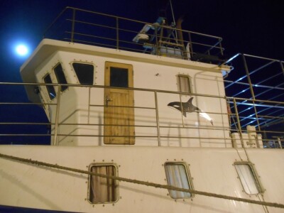 Poseban brod traži posebnu pažnju