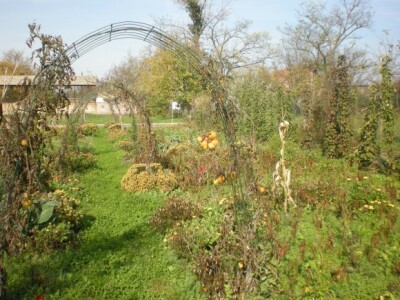 Bio bašta Mariane Lelea iz Torka