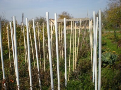 Bio bašta Mariane Lelea iz Torka