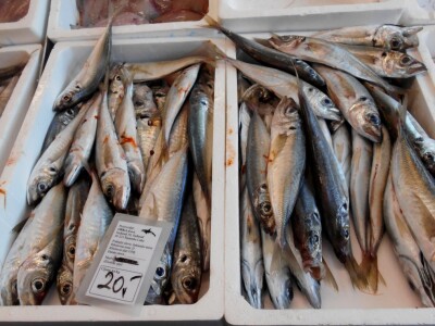 Na tržnici ne nedostaje ribe!