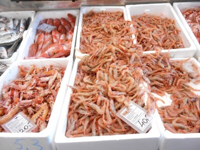 Uvijek ima škampi kod ribara Dinka Cvjetovića