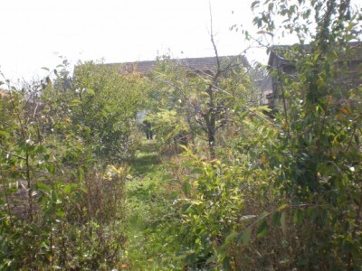 Bio bašta Mariane Lelea iz Torka