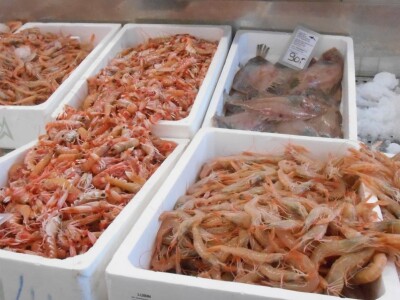 Raznovrsnost je prednost!