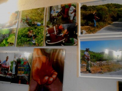 Slike na zidu kao prikaz rada u vinogradu