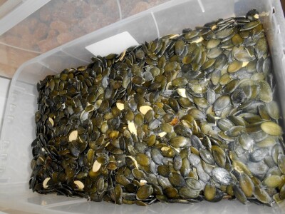 Pogled na zdrav način života