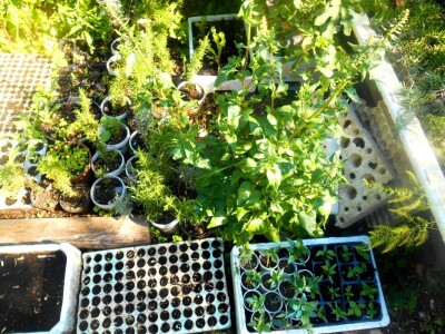 Velik izbor dokaz je i velikog rada