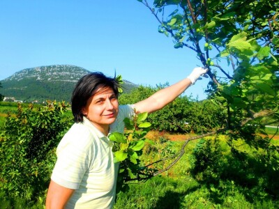 Prava ekološka razglednica