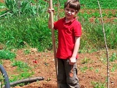 Sin Marije Pendo, Stijepo Pendo