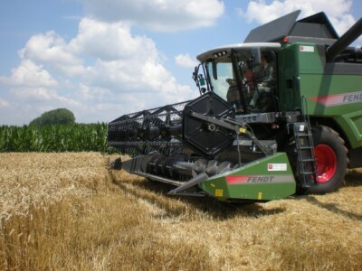 Padaju poslednji otkosi