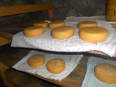 Sirevi se suše na sigurnom mjestu