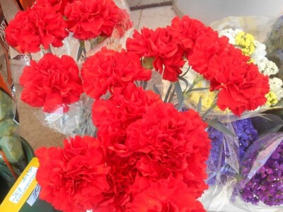 Crveno cvijeće je i najljepše cvijeće