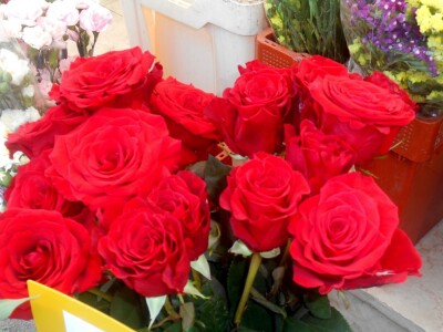 Ruže - simbol ljubavi