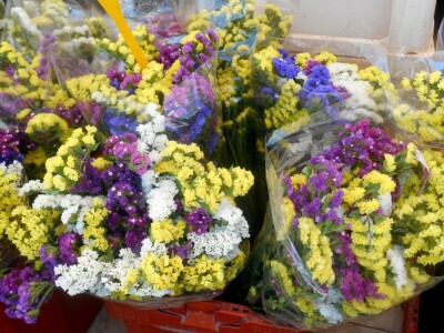 Suho cvijeće za one koji vole kombinacije više boja