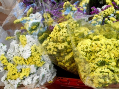 Jednobojno suho cvijeće za one koji vole jednostavnost