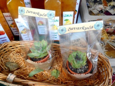 Biljka čuvarkuća također se može pronaći među njihovim proizvodima