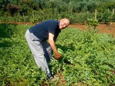 Ivica Matijević - vrijeme je da uberemo koju lubenicu