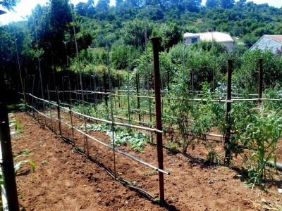 Točno se zna kako se sade biljke i gdje je kojoj mjesto