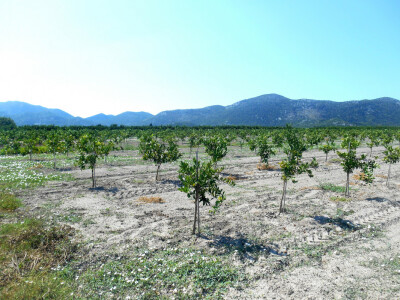 U Neretvi je svaki metar kvadratni obrađen