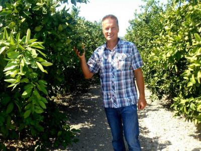 Oaza zelenila je dokaz koliko su ove mandarine očuvane i zdrave