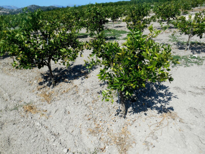 Na ovom mjestu prije je bilo more