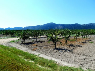 U samo jednom pogledu na polje očigledna je velika ljubav prema ovom poslu