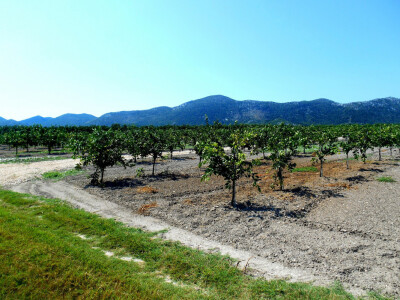 U samo jednom pogledu na polje očigledna je velika ljubav prema ovom poslu
