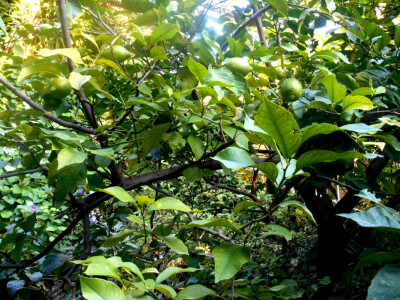 Bogatstvo koje nam priroda pruža