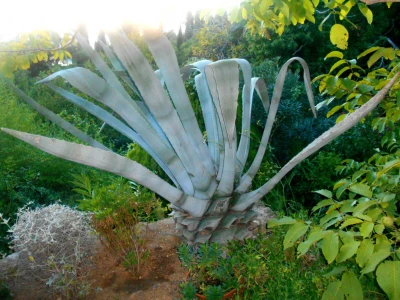 Palma kao skulptura
