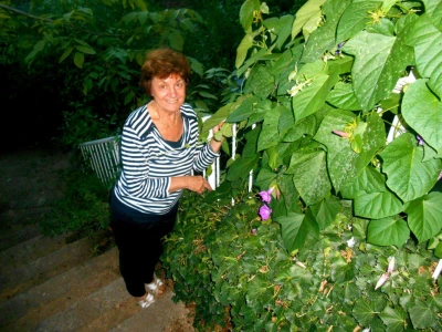 Vrijedne ruke Helene Handabake stvorile su ovu oazu zelenila i mira