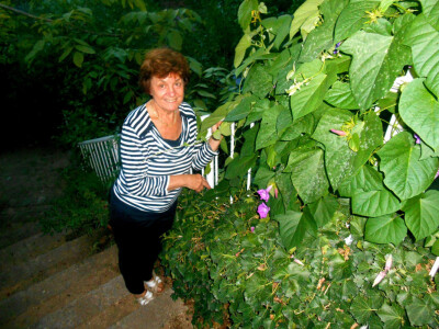 Vrijedne ruke Helene Handabake stvorile su ovu oazu zelenila i mira Vrijedne ruke Helene Handabake stvorile su ovu oazu zelenila i mira