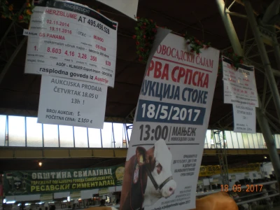 Prva aukcija
