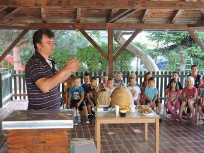 Zdenko ističe da pčele nikad ne napadaju prve