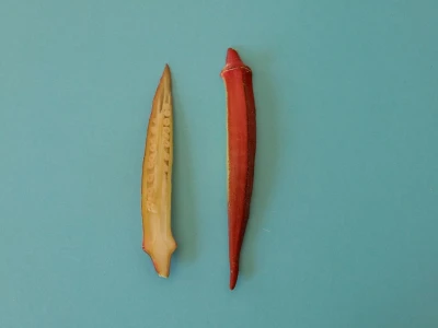 Bamija