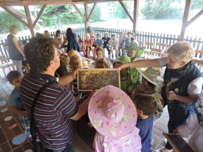 Prvi susret djece i pčela