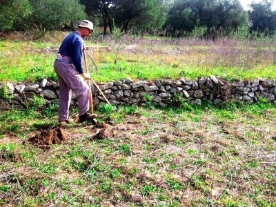 Suprug Marije Pendo - Ivica Pendo