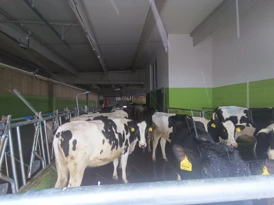 "DS&Farmer" svečano otvorio savremeni štalski objekat