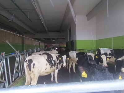 "DS&Farmer" svečano otvorio savremeni štalski objekat