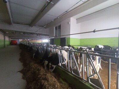 "DS&Farmer" svečano otvorio savremeni štalski objekat