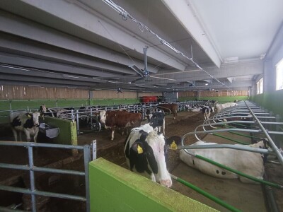 "DS&Farmer" svečano otvorio savremeni štalski objekat