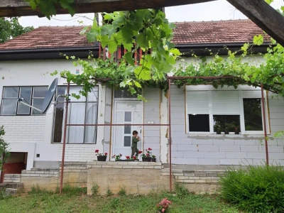 Dubnica
