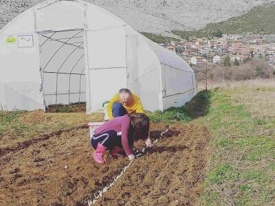 Dubravka Vujinović: Zadovoljni smo svojim počecima u plasteničkoj proizvodnji povrća Dubravka Vujinović: Zadovoljni smo svojim počecima u plasteničkoj proizvodnji povrća