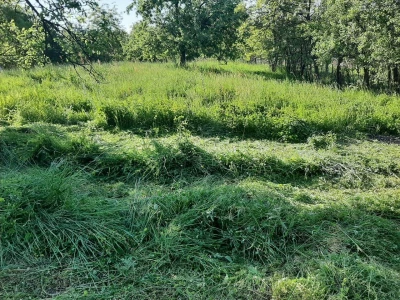Đubrenjem livada dobija se kvalitetnije seno