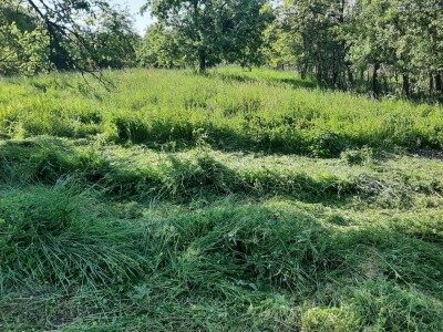 Đubrenjem livada dobija se kvalitetnije seno