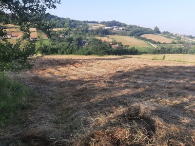 Đubrenjem livada dobija se kvalitetnije seno