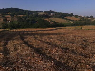 Đubrenjem livada dobija se kvalitetnije seno