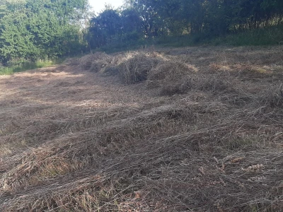 Đubrenjem livada dobija se kvalitetnije seno